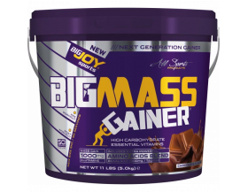 Bigjoy Sports Big Mass Gainer Bigjoy Sports Big Mass Gainer