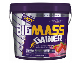 Bigjoy Sports Big Mass Gainer Bigjoy Sports Big Mass Gainer