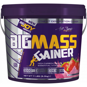 Bigjoy Sports Big Mass Gainer Çilek 5000 Gr