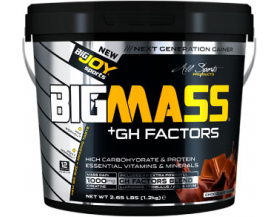 BigJoy Sports Big Mass +GH Factors BigJoy Sports Big Mass +GH Factors
