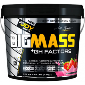 BigJoy Sports Big Mass +GH Factors Çilek 1200 Gr
