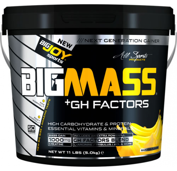 BigJoy Sports Big Mass +GH Factors Çilek 5000 Gr