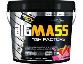 BigJoy Sports Big Mass +GH Factors BigJoy Sports Big Mass +GH Factors