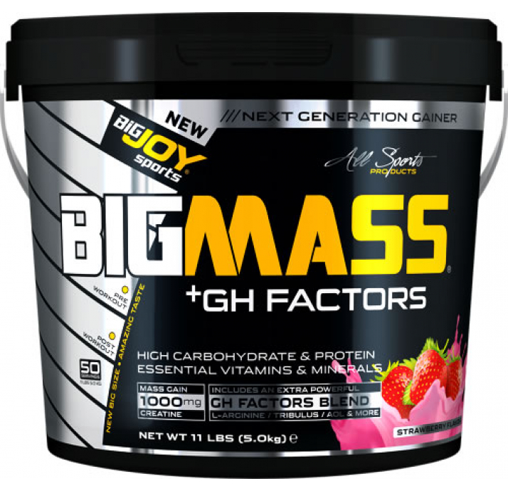 BigJoy Sports Big Mass +GH Factors Çikolata 5000 Gr